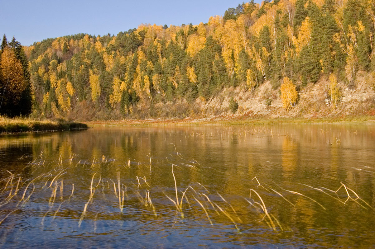 Окрестности деревни Красный Луг, image of landscape/habitat.