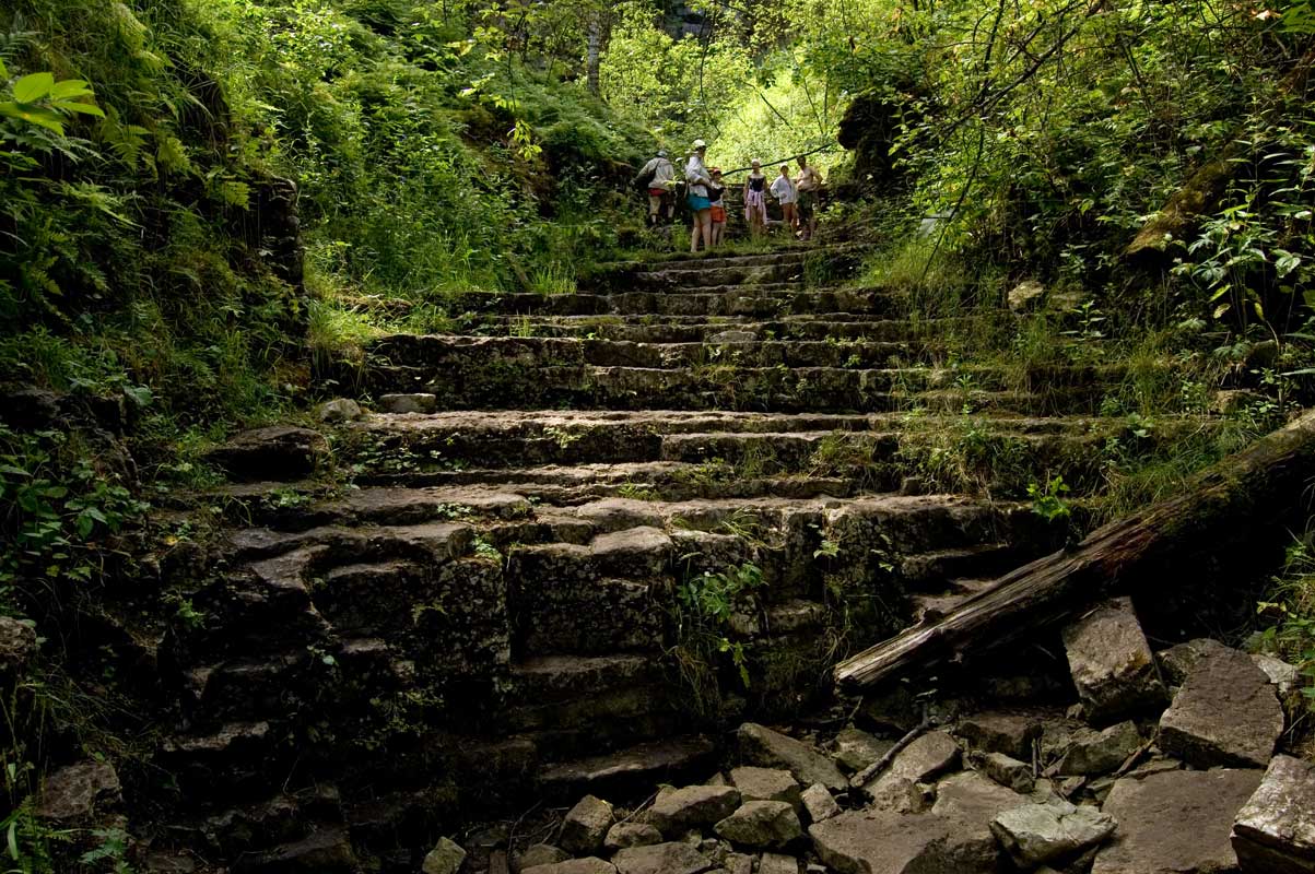 Окрестности поселка Межевой, image of landscape/habitat.