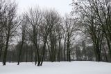 Гродно, image of landscape/habitat.