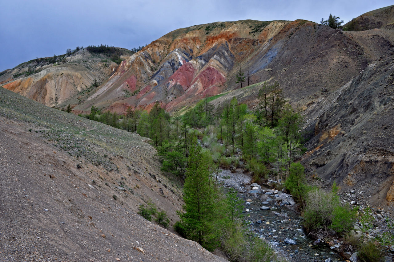 Долина реки Кызыл-Чин, image of landscape/habitat.