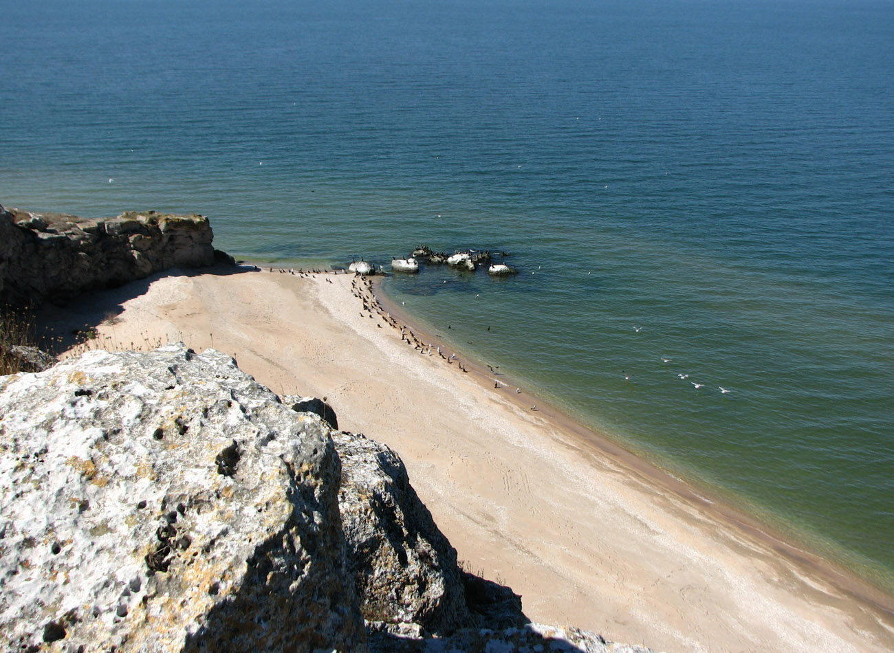 Караларская степь, image of landscape/habitat.