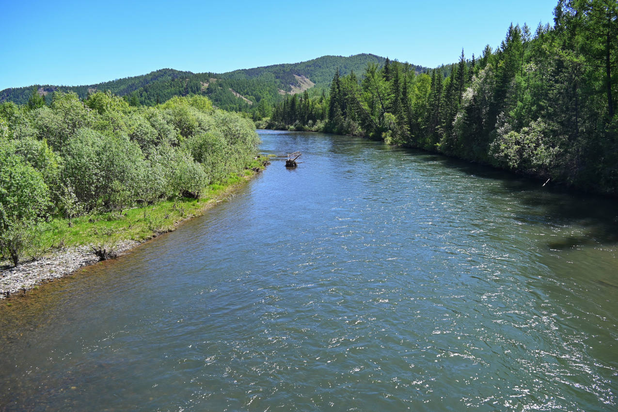 Долина реки Сарала, image of landscape/habitat.