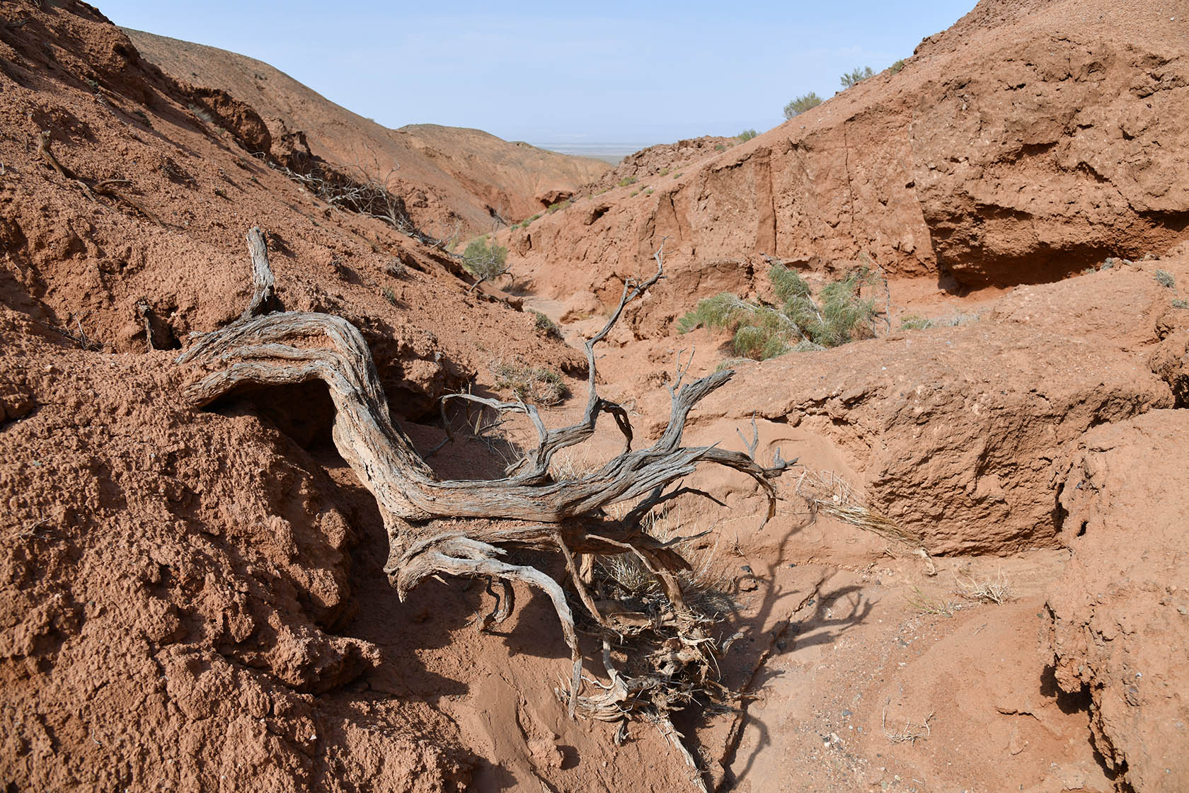 Горы Улькен-Богуты, image of landscape/habitat.