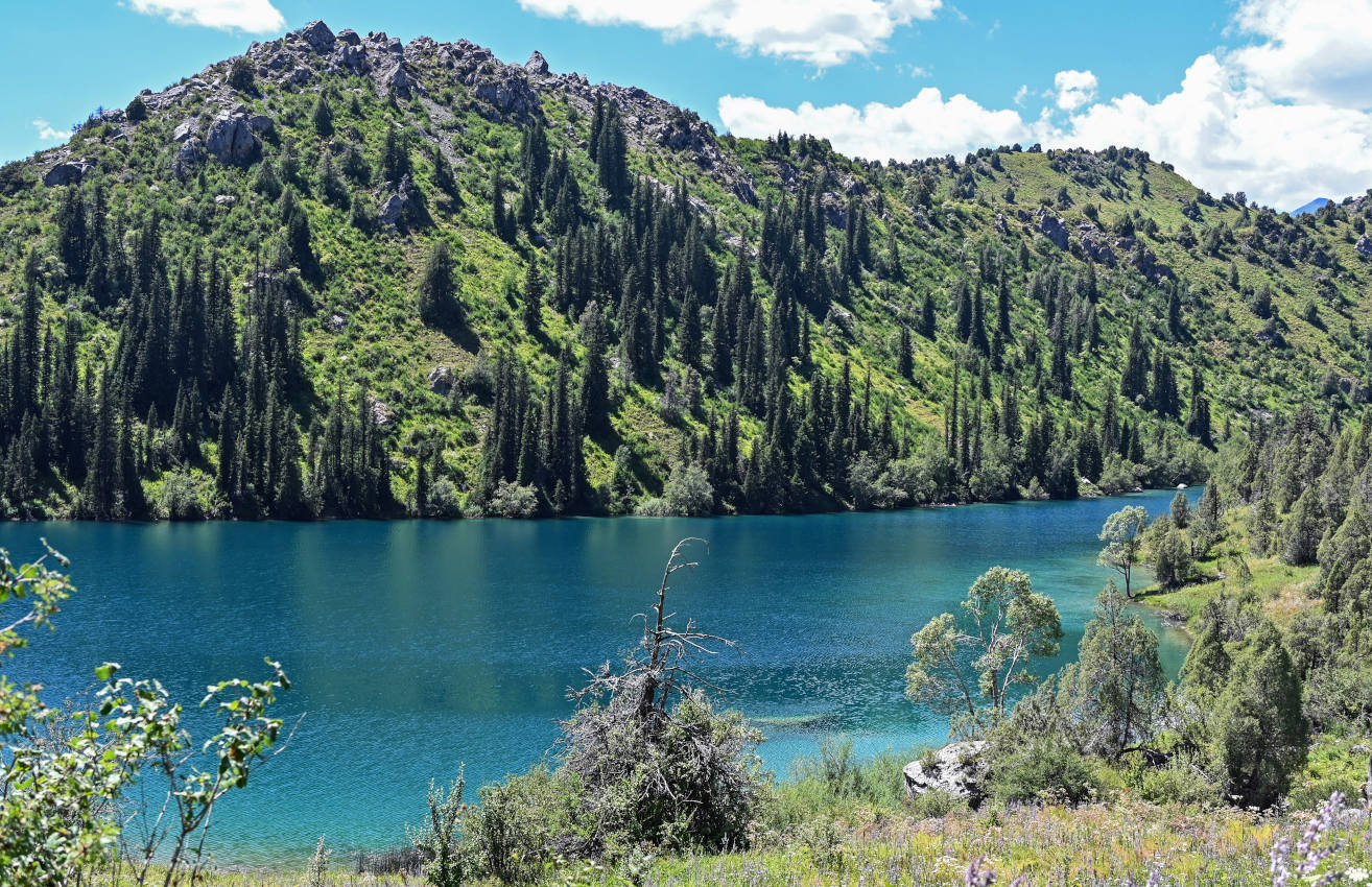 Озеро Ири-Кёль, image of landscape/habitat.