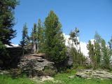 Линейский перевал, image of landscape/habitat.