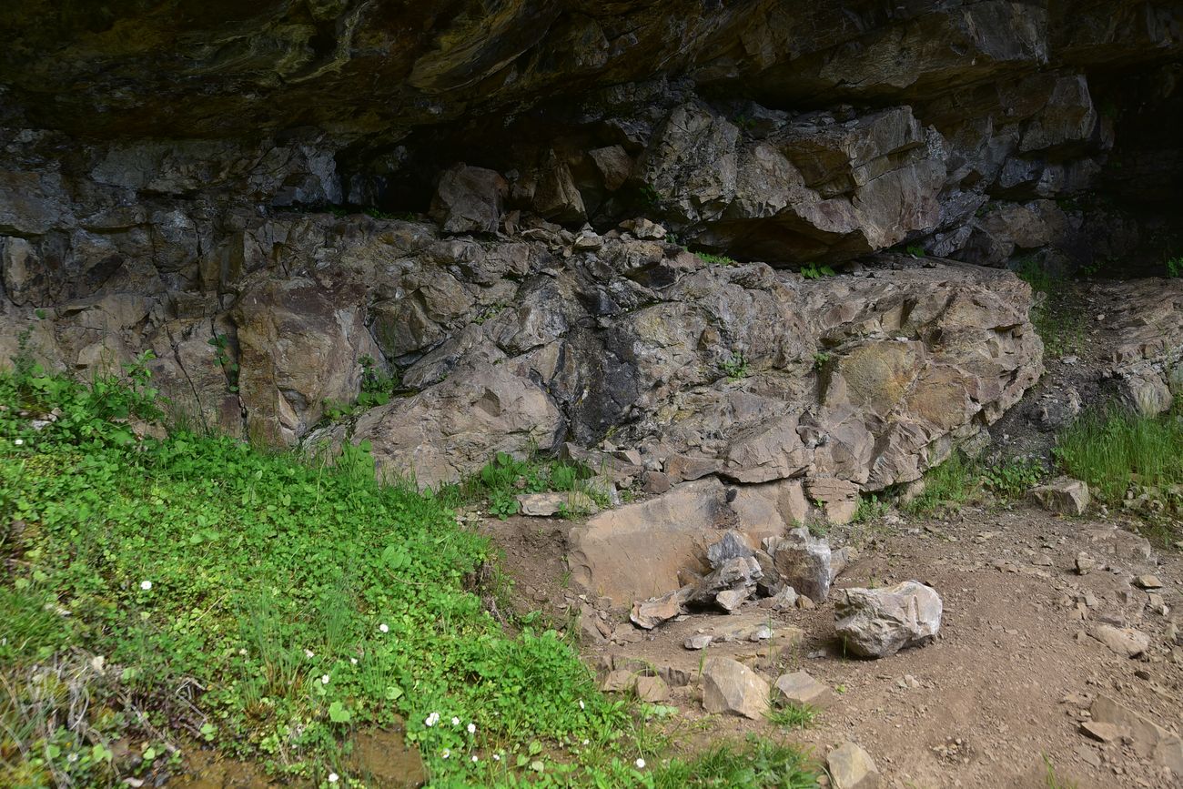 Окрестности монастыря Парехи, image of landscape/habitat.