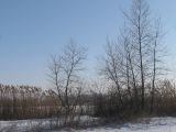 Район Гребного канала, image of landscape/habitat.