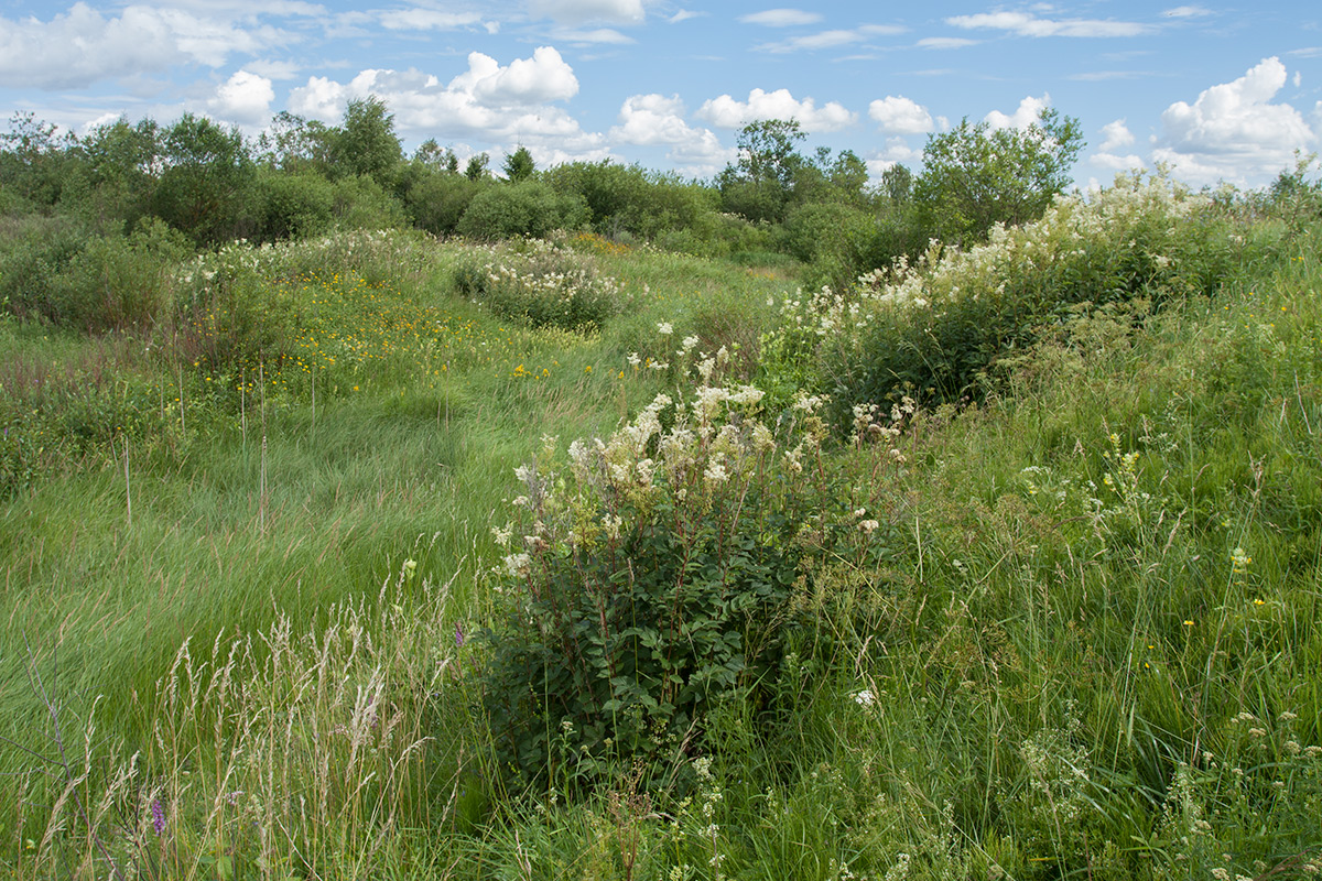 Окрестности Пудости, image of landscape/habitat.
