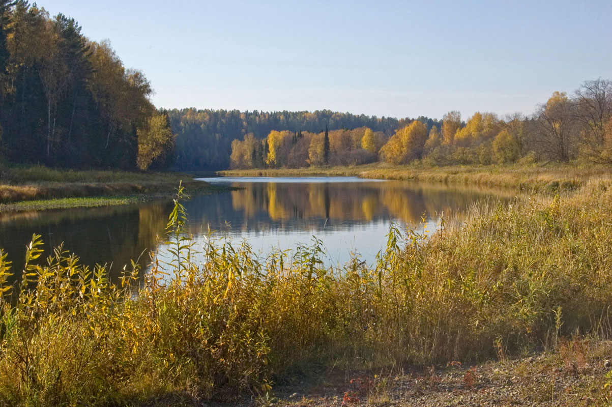 Окрестности деревни Агафонково, image of landscape/habitat.