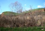 Image of landscape