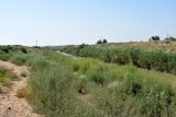 Image of landscape