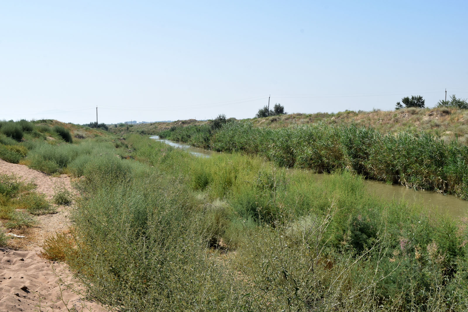 Дальверзинская степь, image of landscape/habitat.