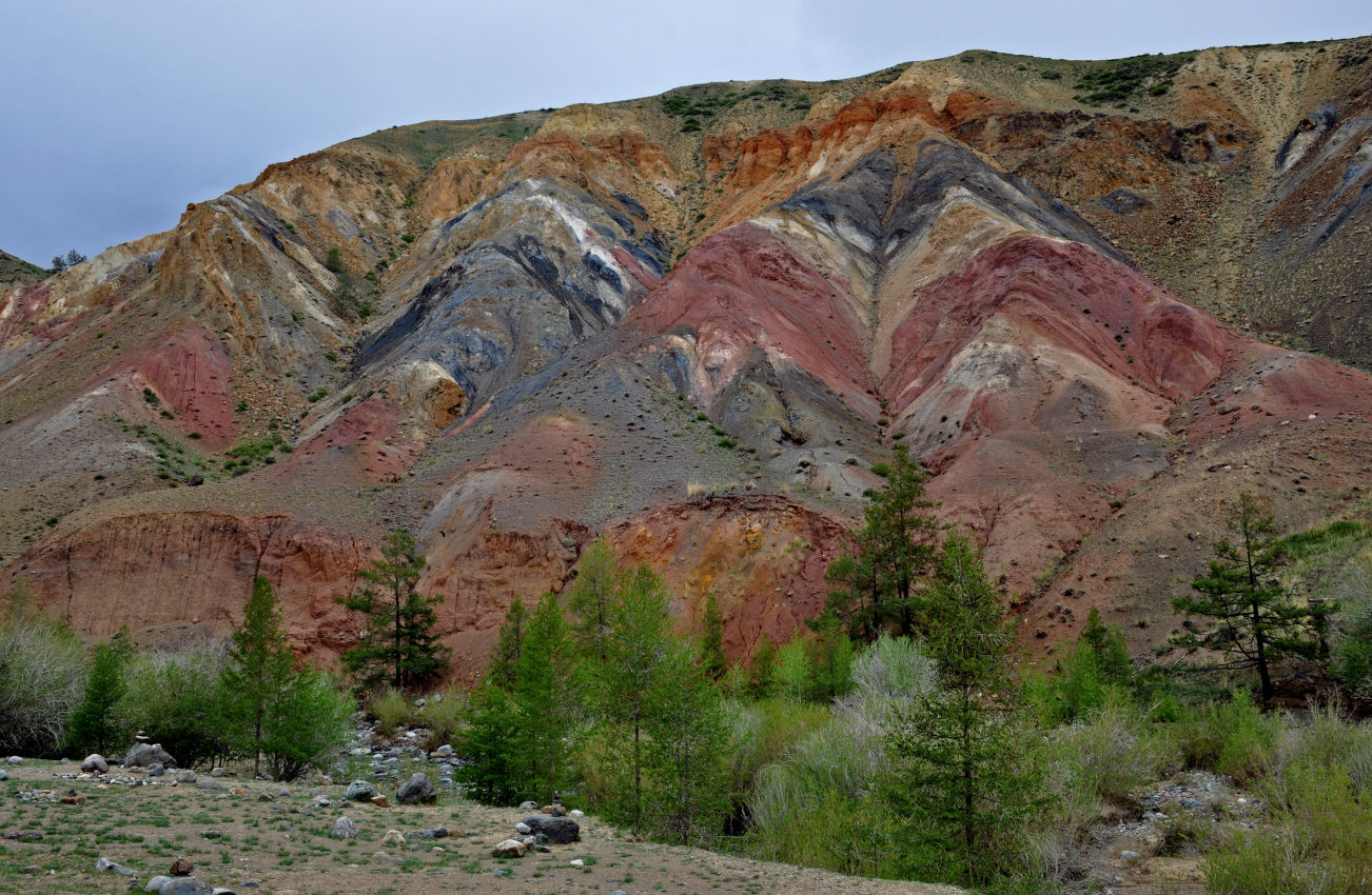 Долина реки Кызыл-Чин, image of landscape/habitat.