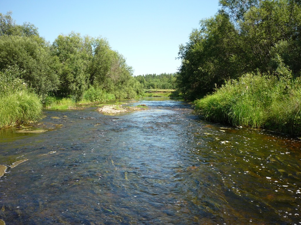 Усть-Шоноша, image of landscape/habitat.