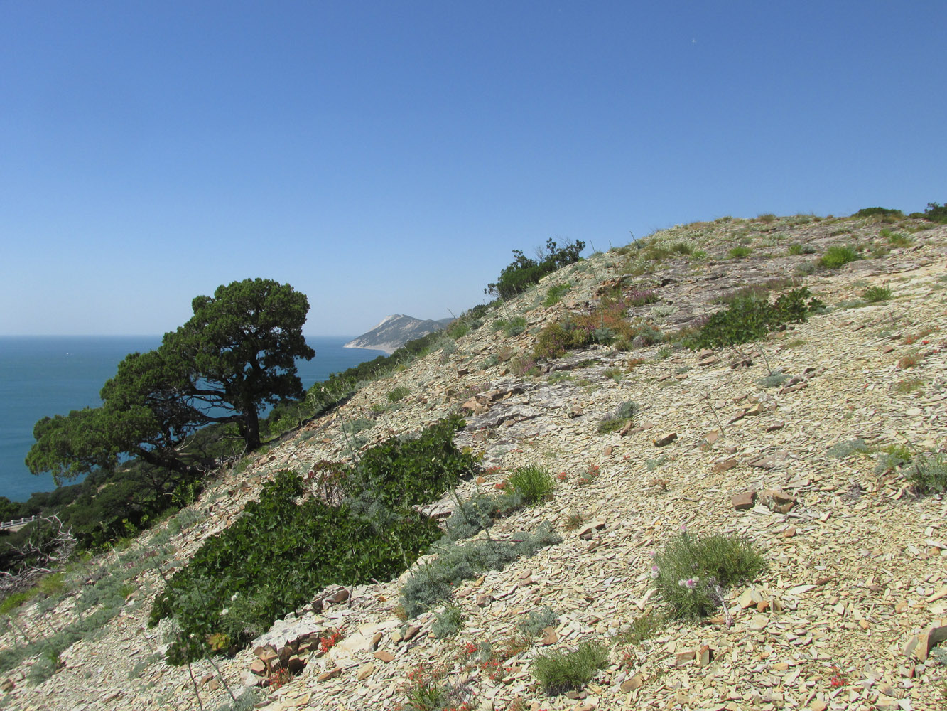 Большой Утриш, гора Солдатская, image of landscape/habitat.