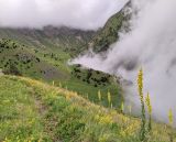 Долина реки Гулардон, image of landscape/habitat.