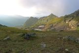 Image of landscape