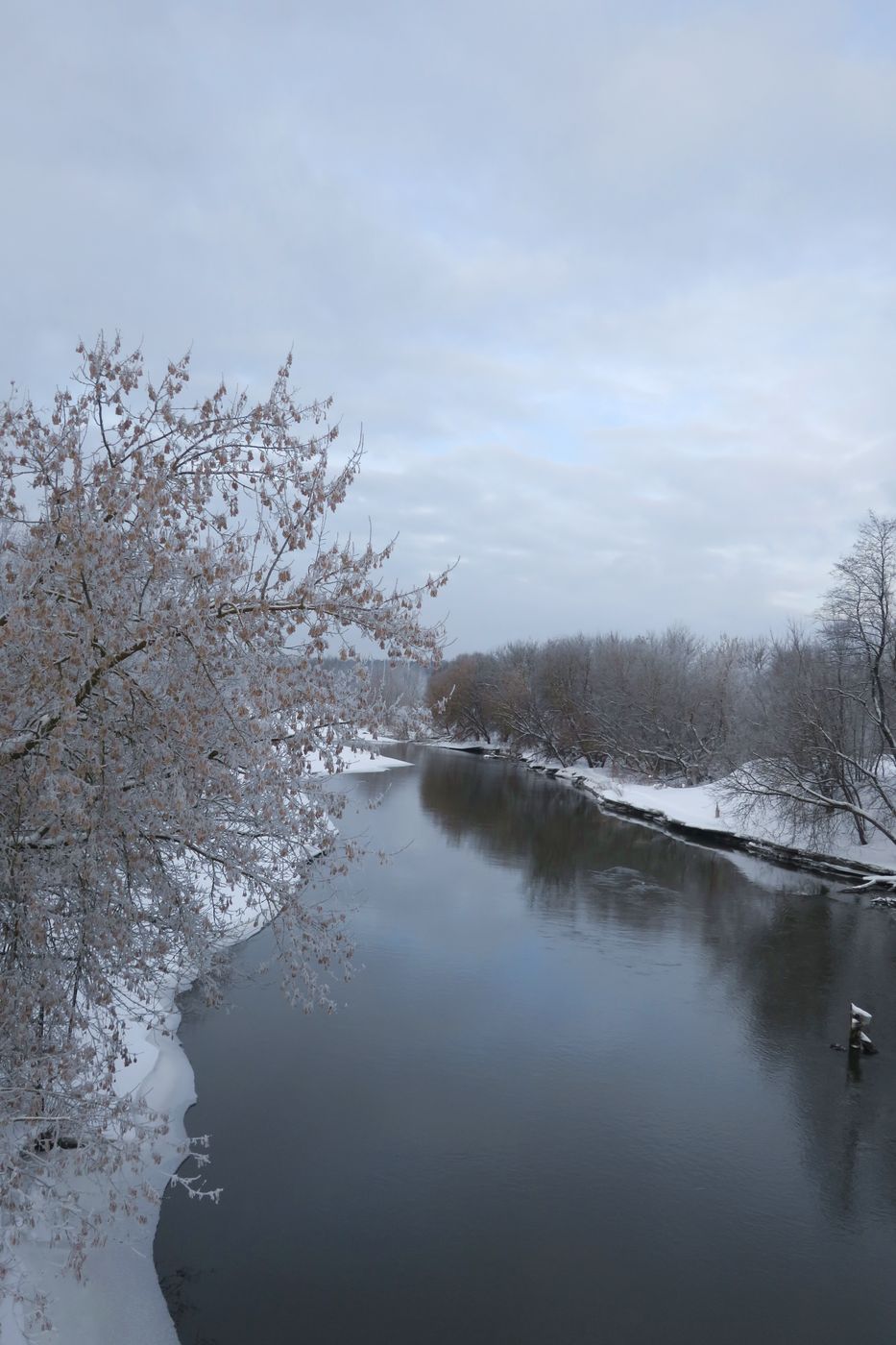 Лосино-Петровский и окрестности, image of landscape/habitat.