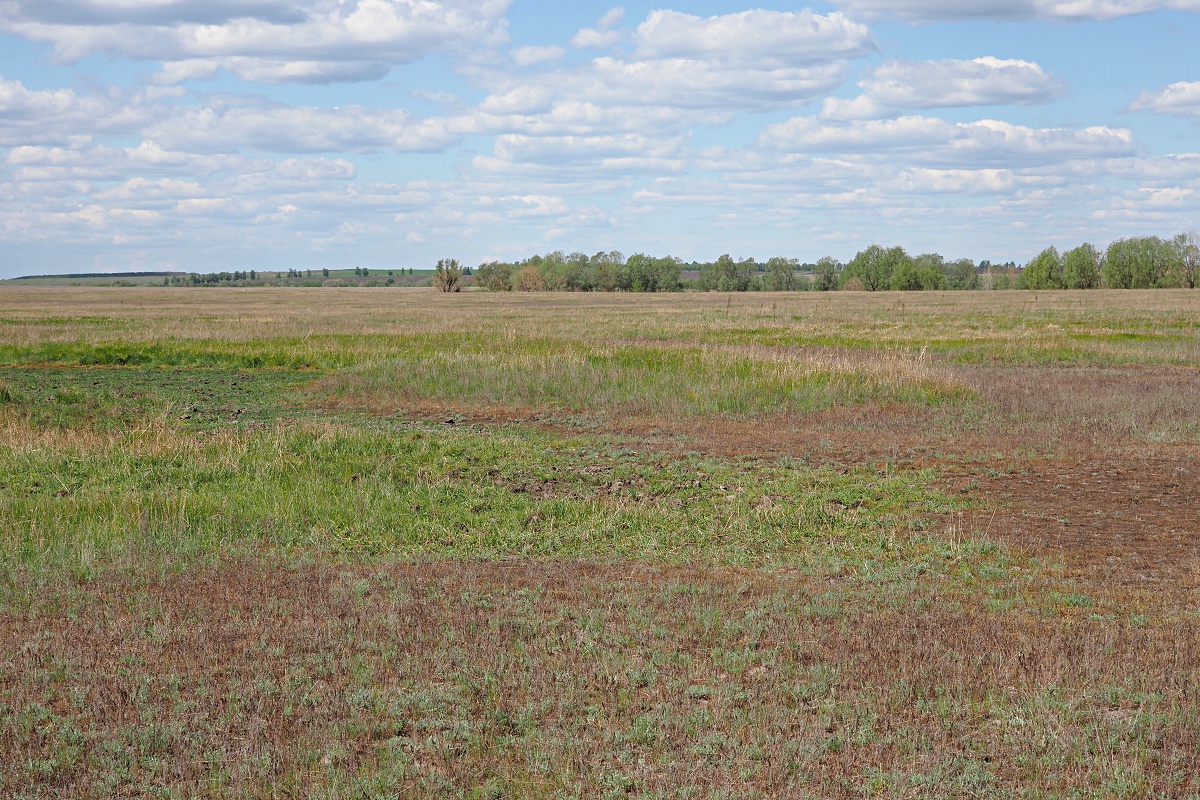 Долины рек Авраль, image of landscape/habitat.