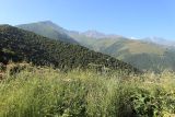 Санибанский перевал, image of landscape/habitat.