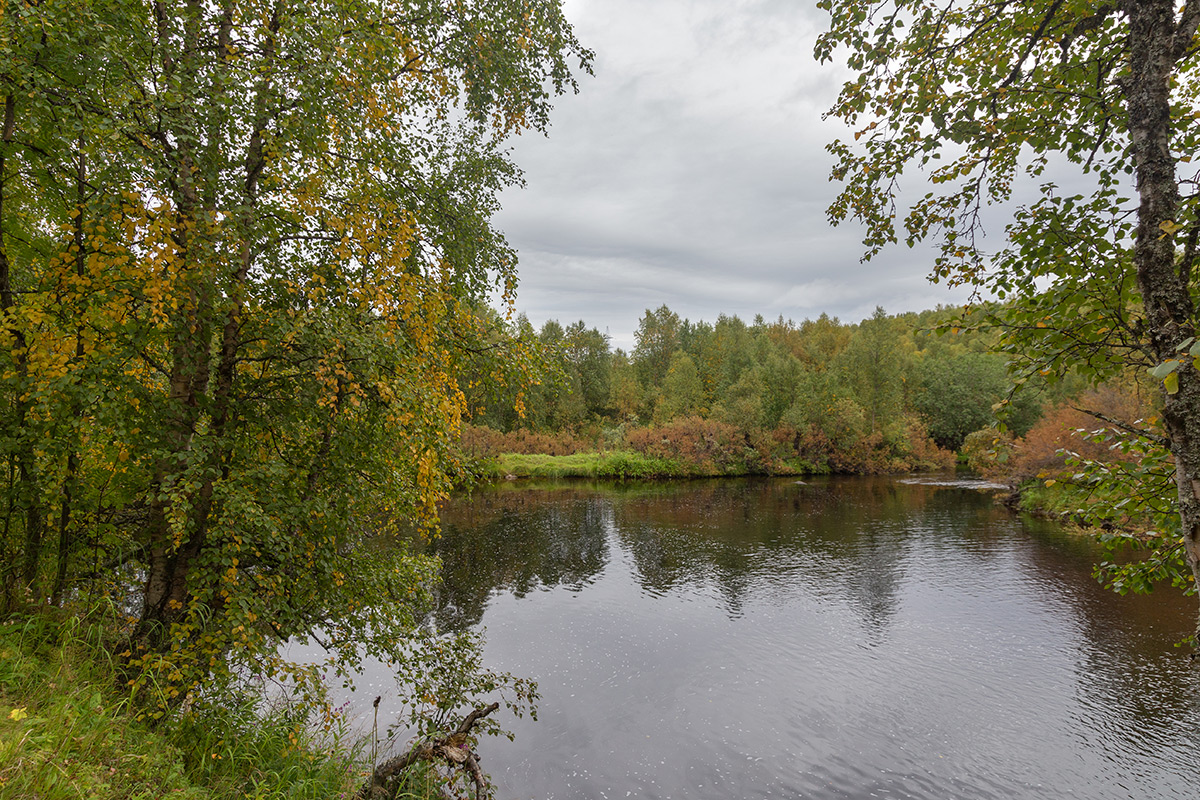 Лавна, image of landscape/habitat.
