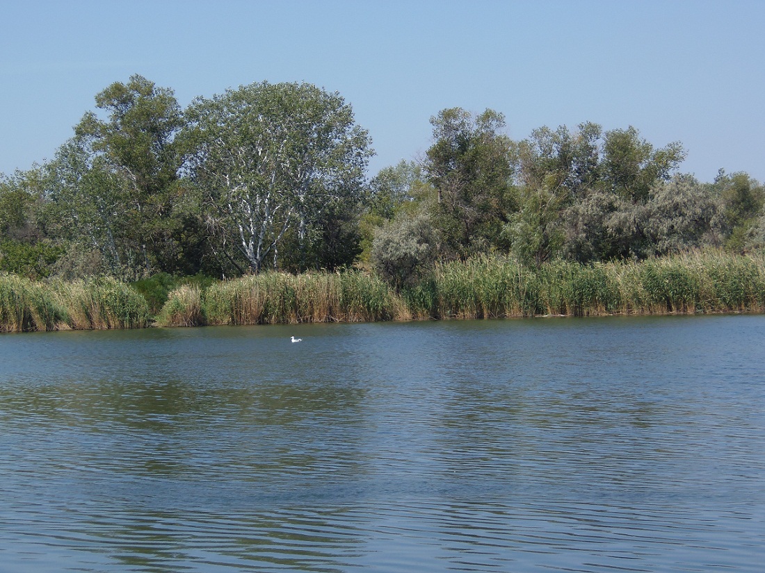 Район Гребного канала, image of landscape/habitat.