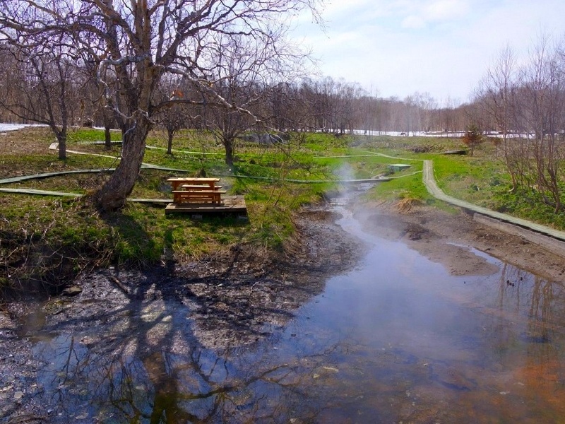 Апачинские термальные источники, image of landscape/habitat.