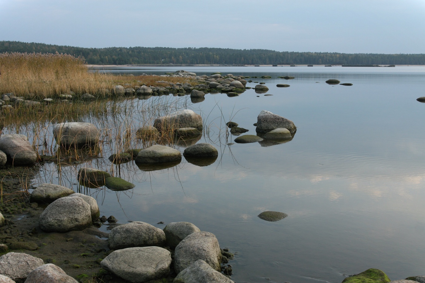 Батарейная бухта, image of landscape/habitat.