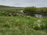 Богдановское, image of landscape/habitat.