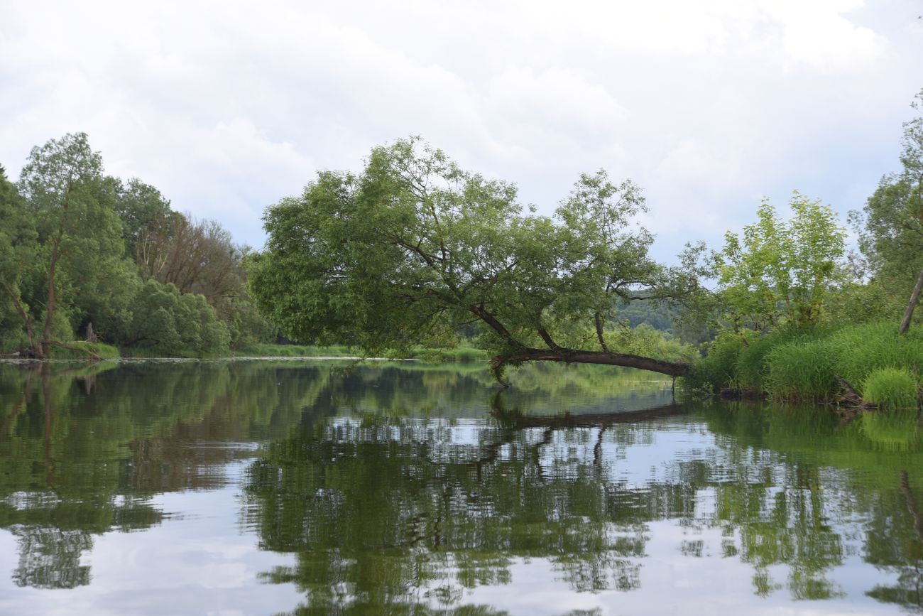 Село Роща, изображение ландшафта.