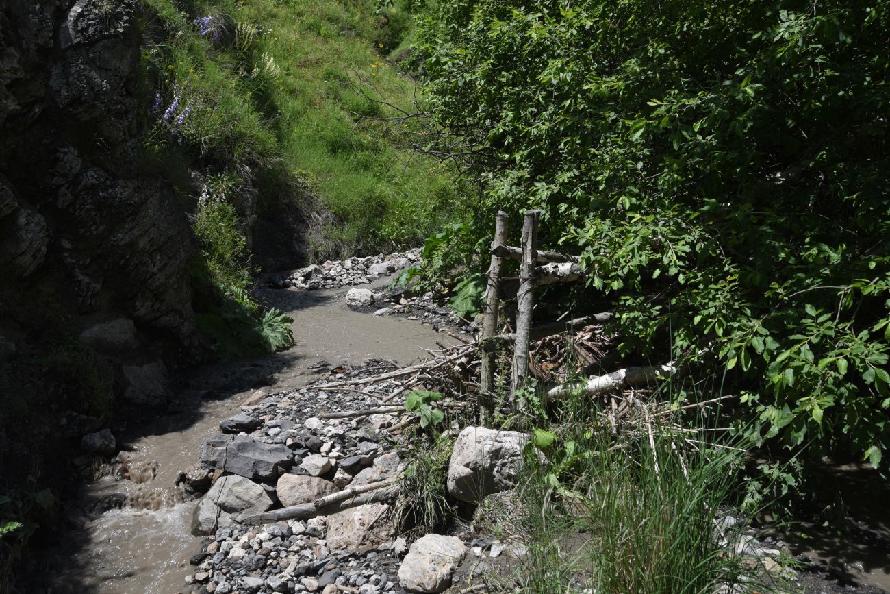 Верховья Цесиахк, image of landscape/habitat.