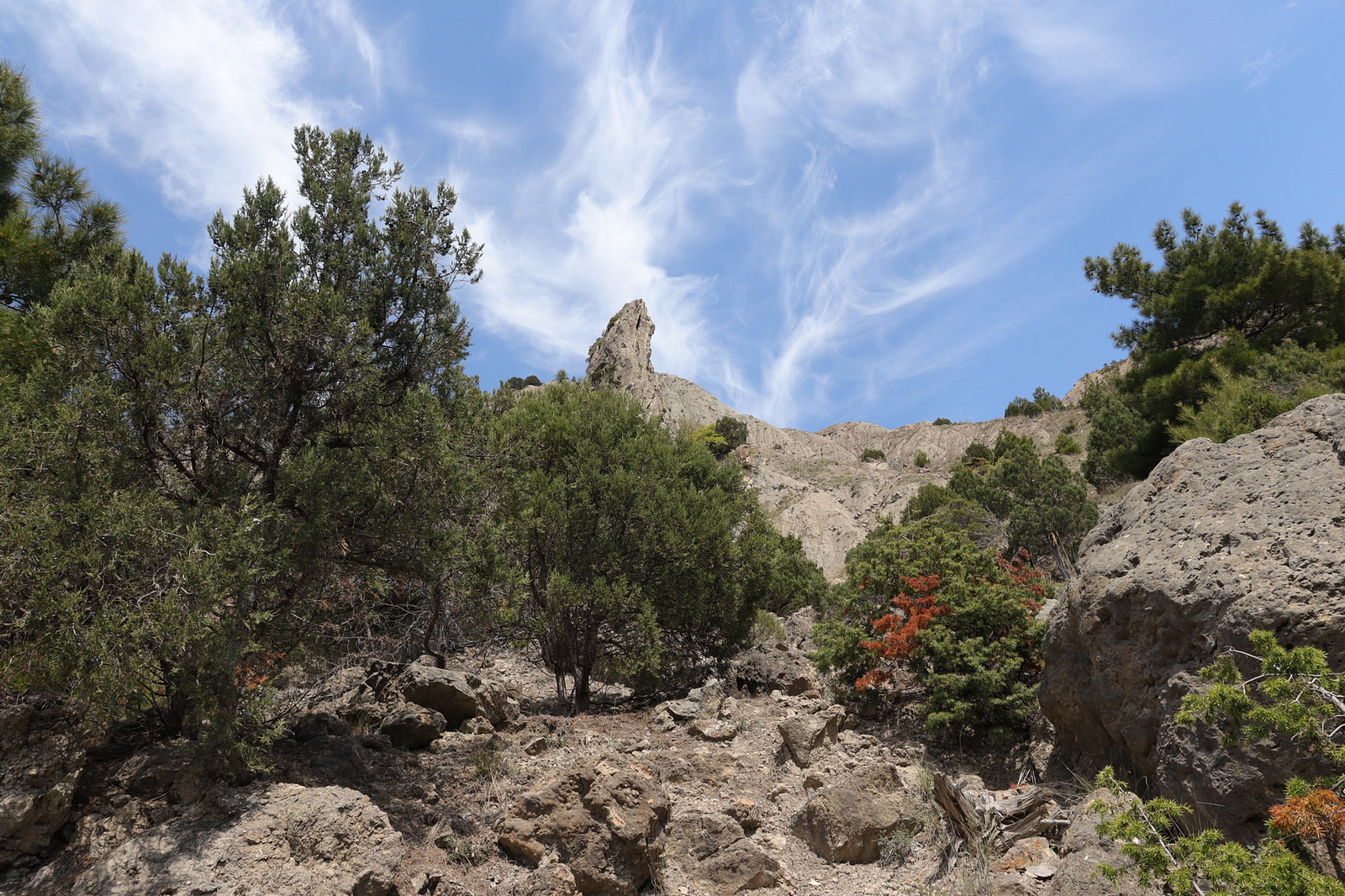 Балаклавские высоты, image of landscape/habitat.