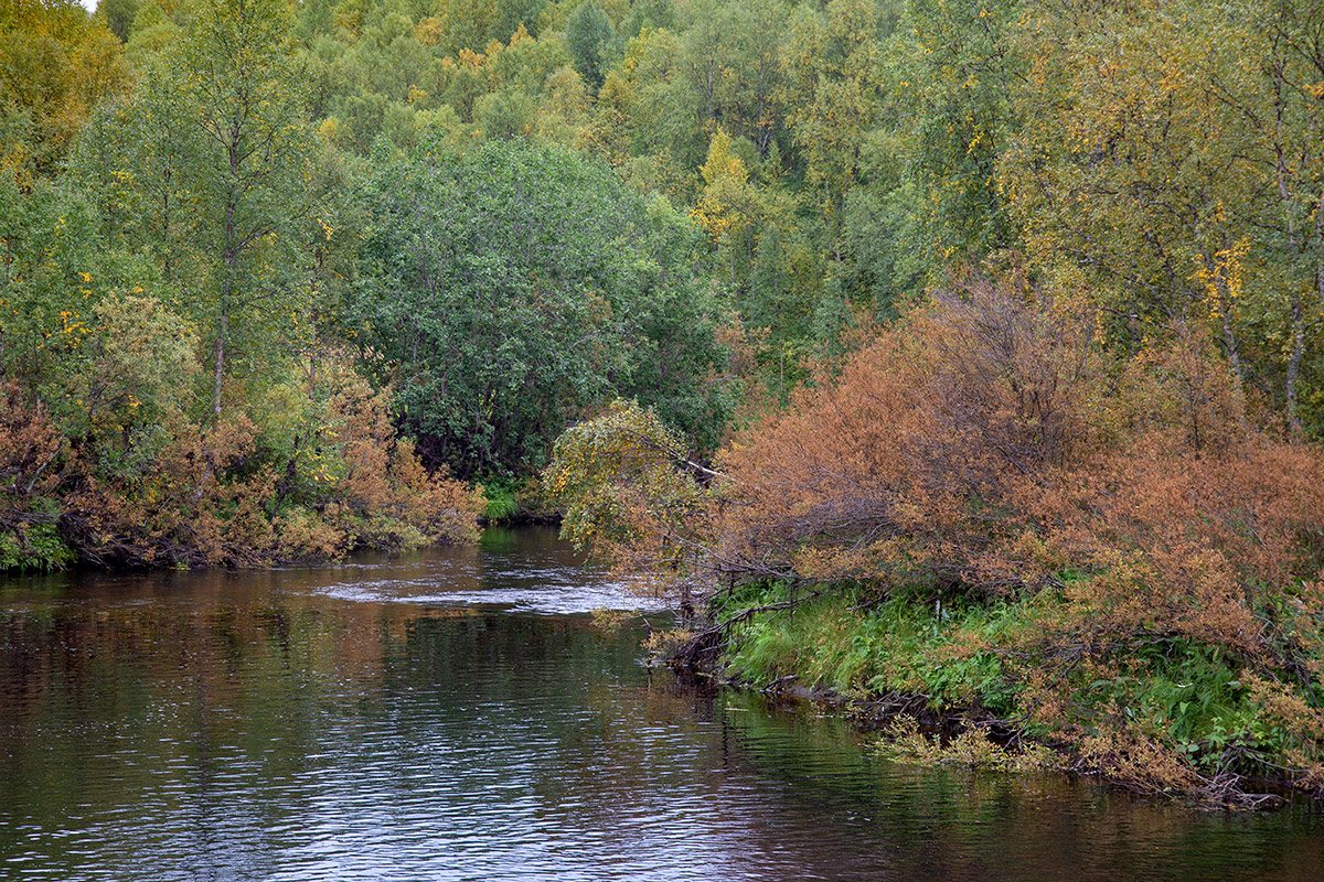 Лавна, image of landscape/habitat.