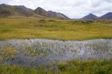 Долина реки Сахынья, image of landscape/habitat.