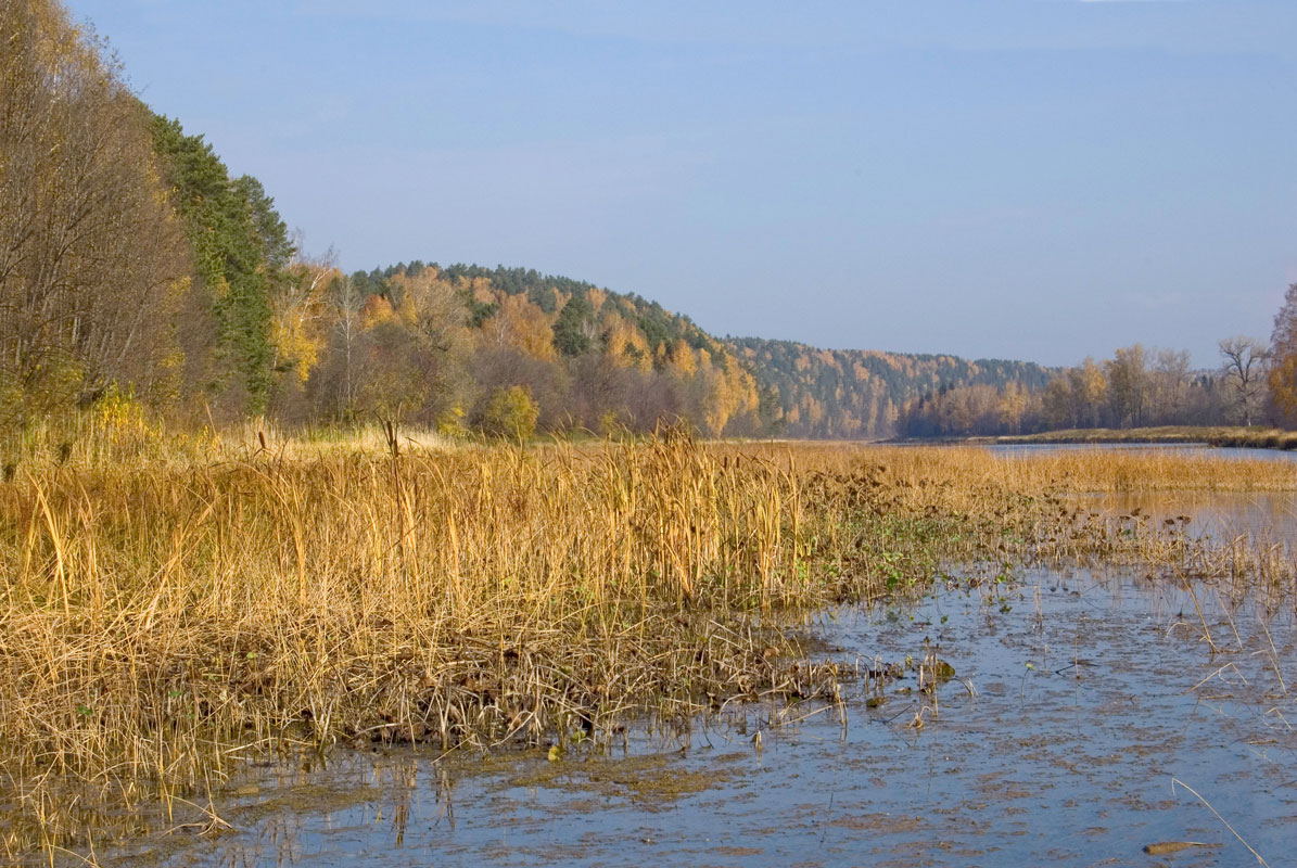 Окрестности деревни Агафонково, image of landscape/habitat.