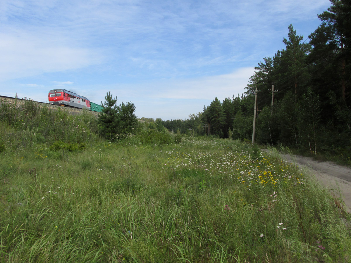 Южный, image of landscape/habitat.