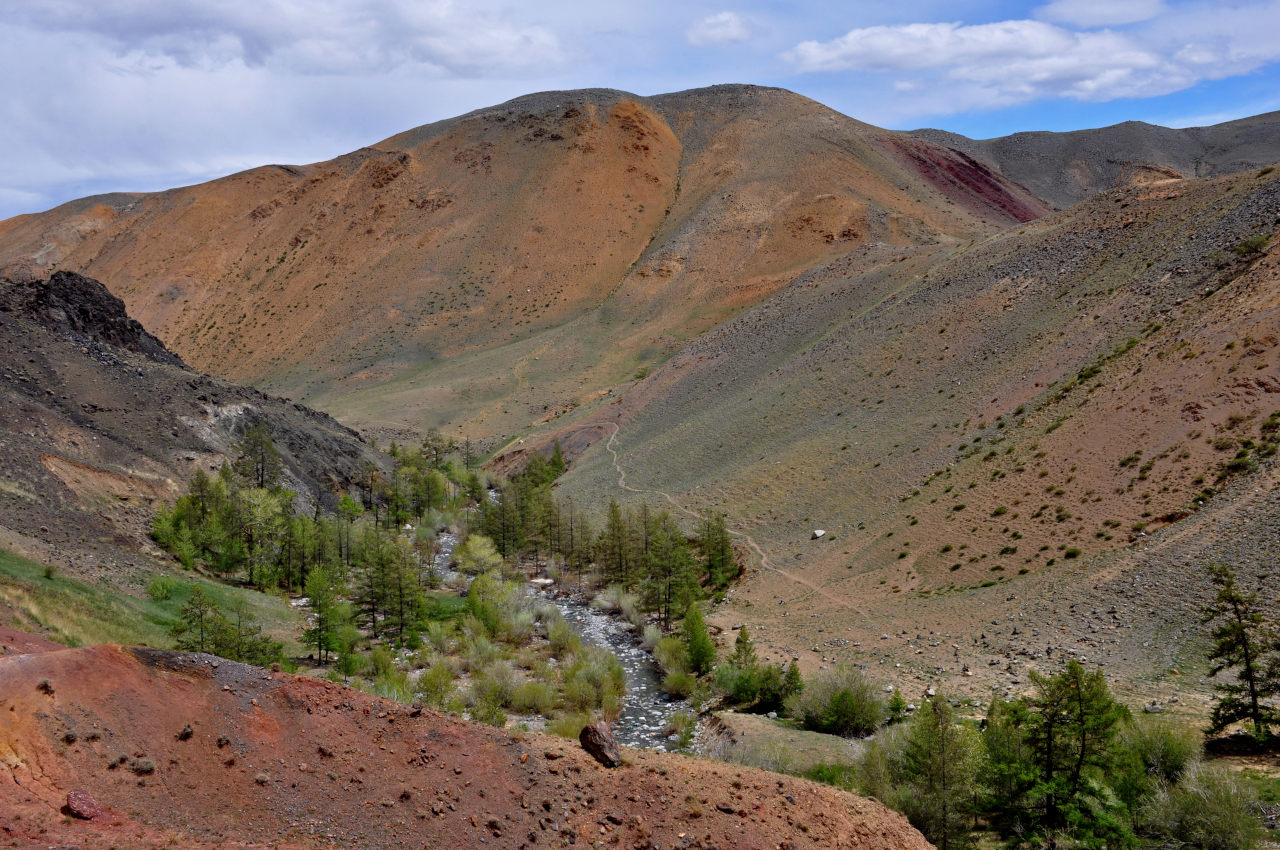 Долина реки Кызыл-Чин, image of landscape/habitat.