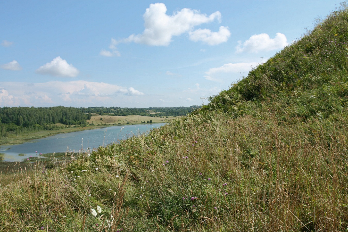 Труворово городище, image of landscape/habitat.