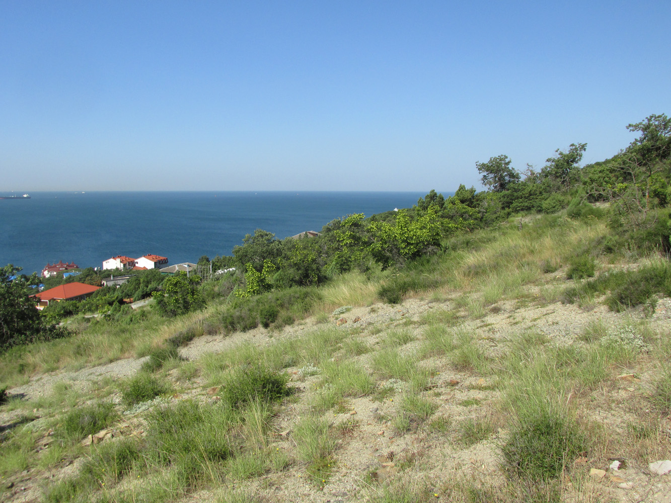 Широкая Балка, image of landscape/habitat.