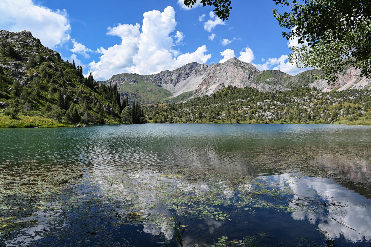 Озеро Ири-Кёль, image of landscape/habitat.