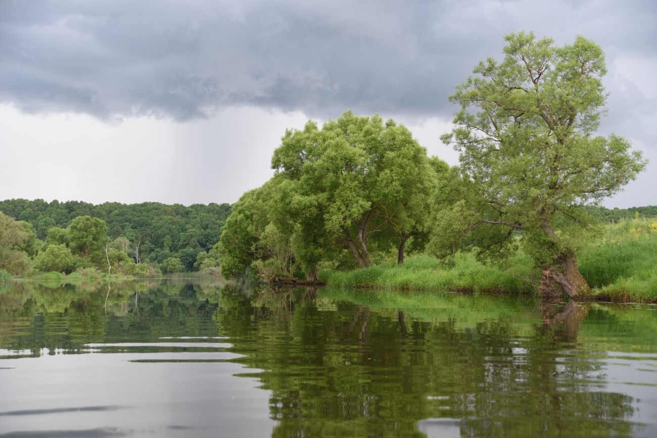 Село Роща, изображение ландшафта.
