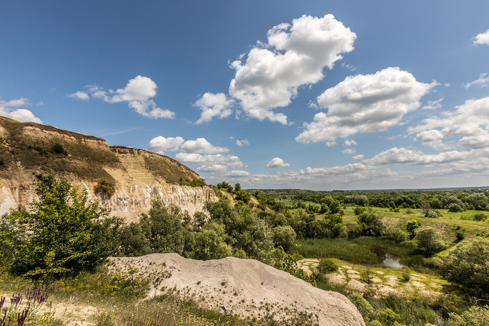 Бутурлиновка, image of landscape/habitat.