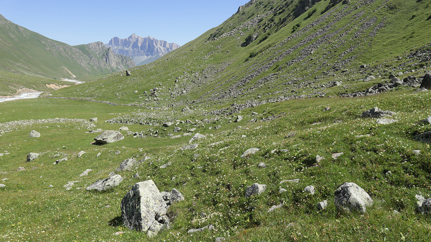 Долина реки Псыгансу, изображение ландшафта.