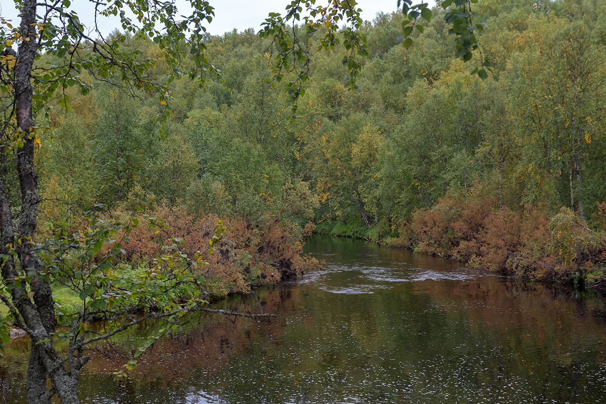 Лавна, image of landscape/habitat.