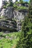 Окрестности монастыря Парехи, image of landscape/habitat.