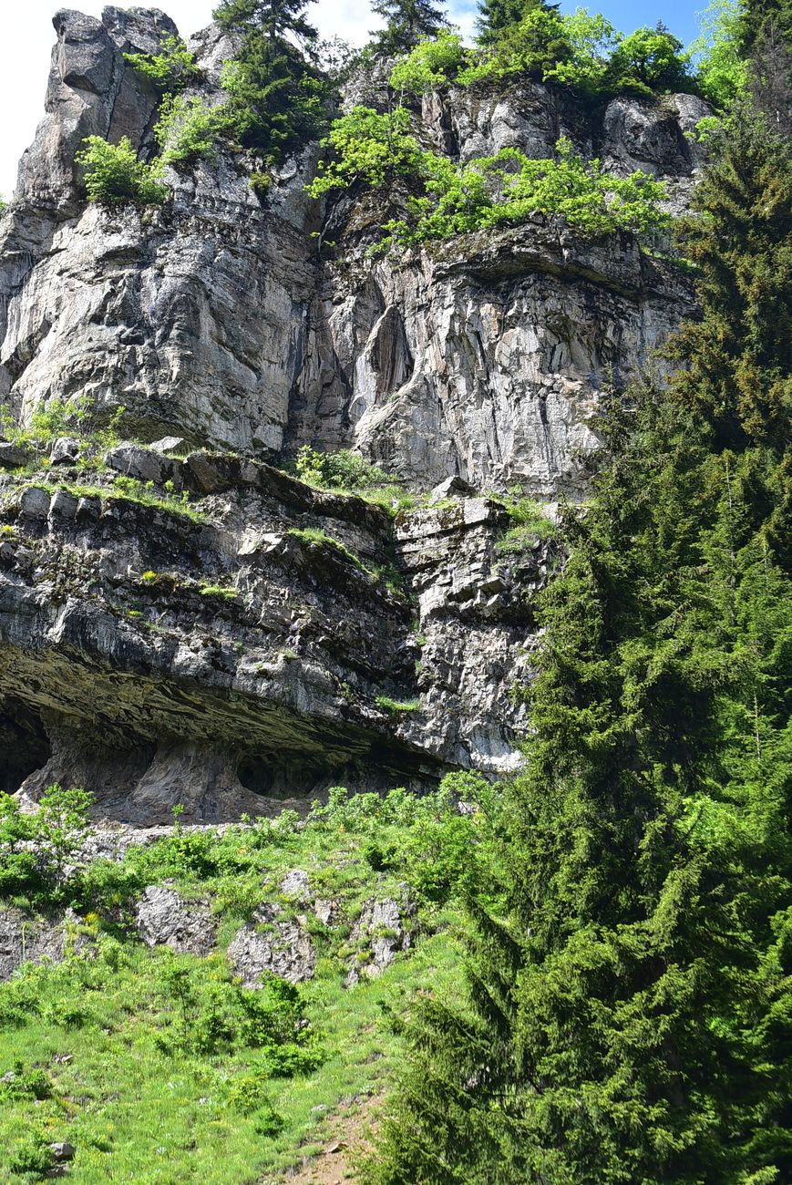 Окрестности монастыря Парехи, image of landscape/habitat.