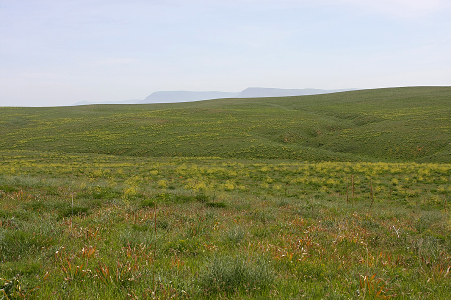 Лощина Акжар, image of landscape/habitat.