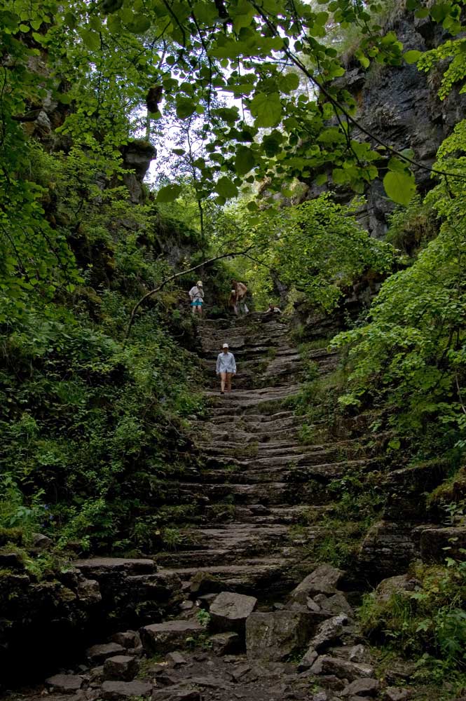 Окрестности поселка Межевой, image of landscape/habitat.