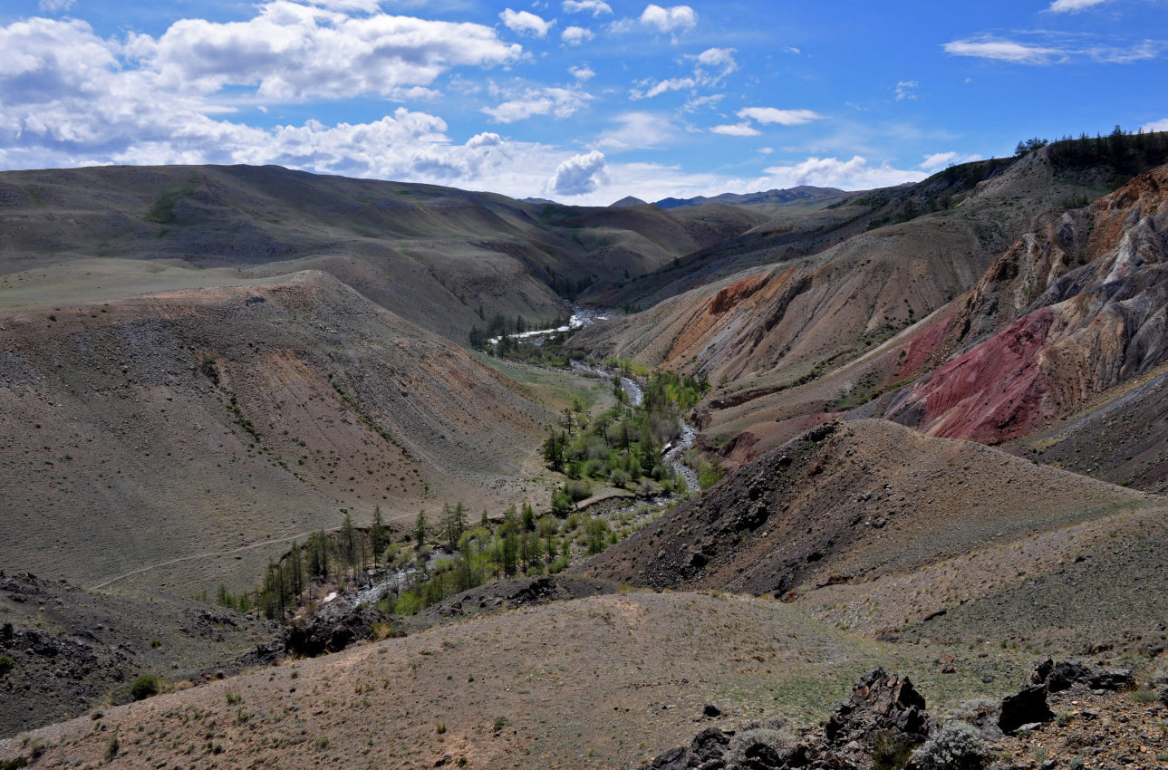 Долина реки Кызыл-Чин, image of landscape/habitat.