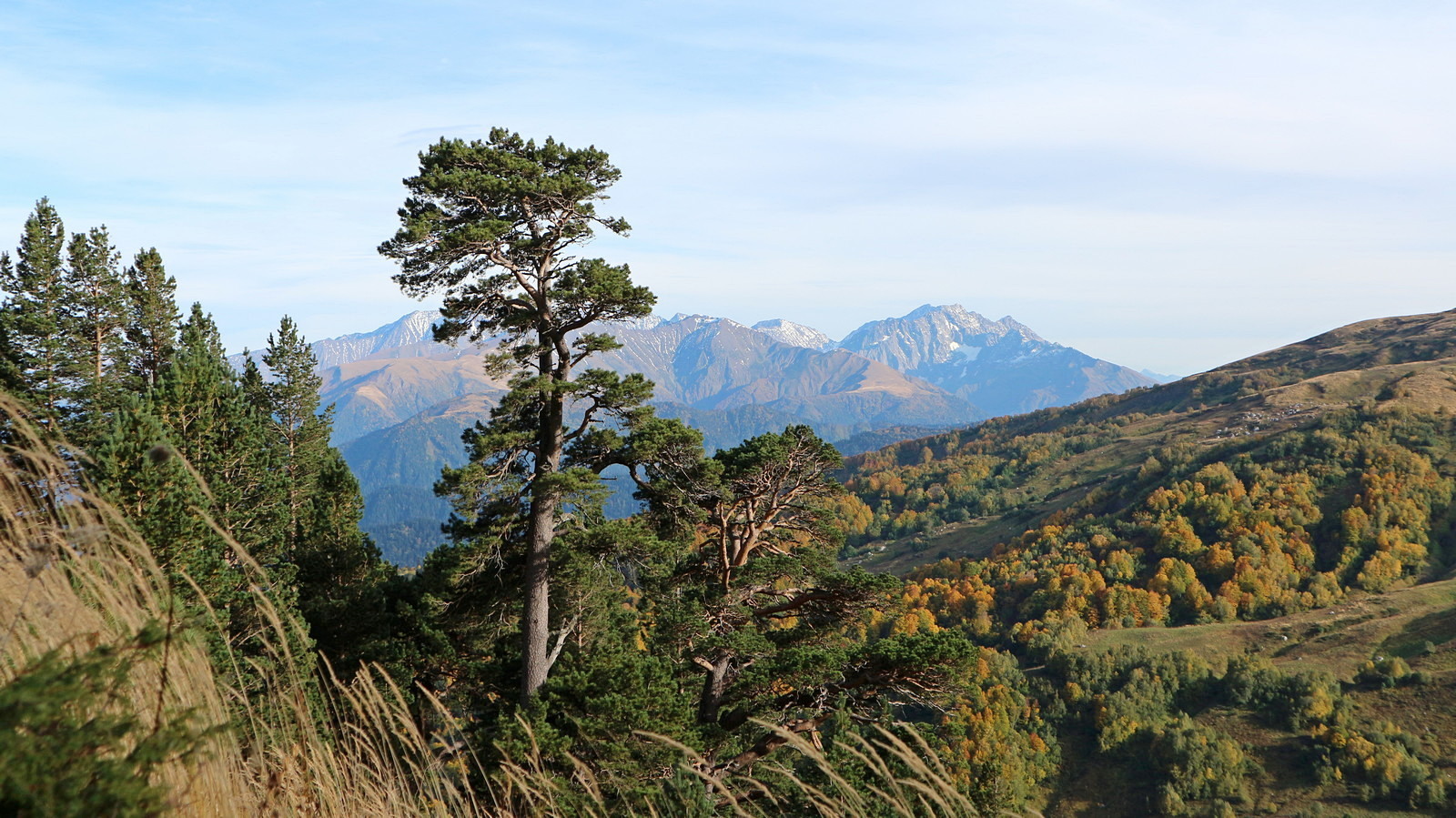 Узуруб, image of landscape/habitat.